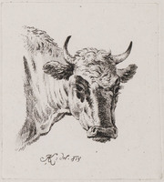 KG 01534
<br/>
Kop van een koe
<br/>
<em>Klein, Johann Adam (1792-1875)</em>